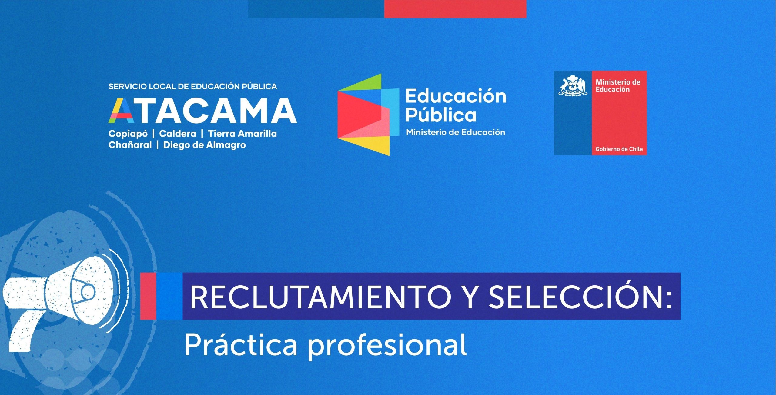 Convocatoria de Práctica Profesional para estudiantes de Administración de Empresas o carreras afines