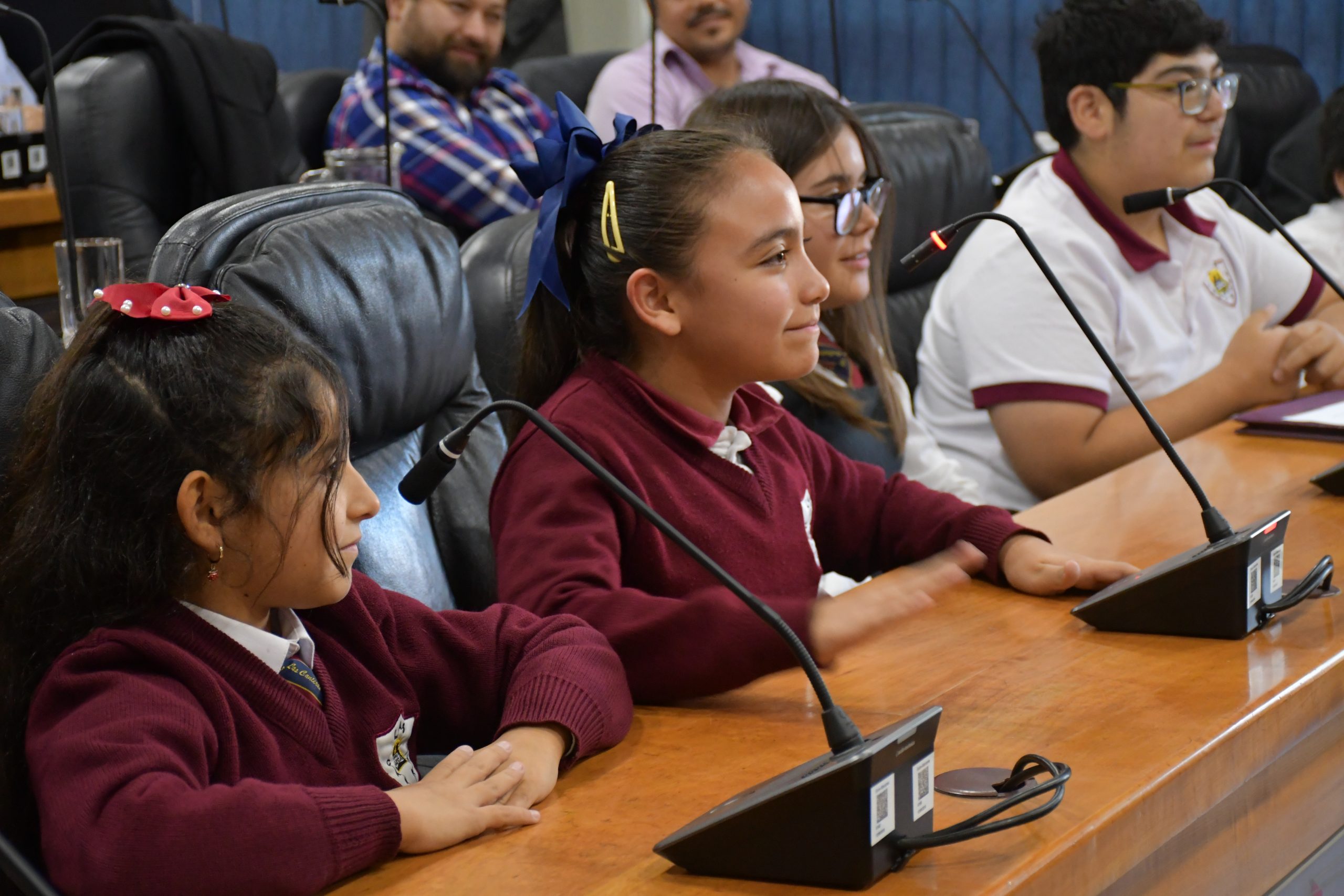 Gobierno Estudiantil de Escuela Las Canteras participa en sesión del Consejo Regional